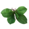 Dekoracyjne kwiaty emulacyjne gałąź Phalaenopsis Orchid Leaf Decoration Decoration Premium for Home Office Wedding Party (zielony)