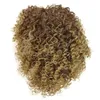 Parrucche per capelli Sintetiche Abbigliamento quotidiano Festa cosplay Costume di Halloween Acconciatura soffice e traspirante Afro riccia per donne nere 240306