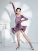 Stage Wear 2024 Latin Dance Competition Costume Purple Long Sleeve Dress Outfits Women Autumn Winter Girl