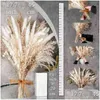 Ghirlande di fiori decorativi Ghirlande di fiori decorativi 100 pezzi Bouquet Erba di pampa secca naturale Fiore Boho Decorazioni per la casa per matrimonio F Dhp3L