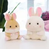 Ny Pendant Doll Cute Pig Husky Monkey Doll Plush Toy Small Size Grab Machine Passale