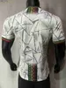 Maillots de football Player Fans version 2024 Mali national SISSOKO DOUMBIA COULIBALY HAIDARA H.TRAORE DOUCOURE F.SACKO S.NIAKATE chemise de footballH240306