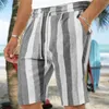 Pantaloncini da uomo Tropics Hawaii Beach Uomo Summer Board Casual Vacanza Costume da bagno a righe Y2k Surf Costume da bagno Homme 2024 Pantaloni corti