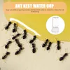 Andra fågelförsörjningar Ant Water Feeder Farm Bowls Mini Liquid Feeding Box Micro Animal Nest Accessories