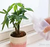 250500ml mini plastik bitki çiçek sulama şişesi püskürtücü kavisli ağız sulama, etli plan için şeffaf olabilir