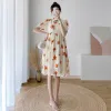 Dresses Chinese Style Summer Maternity Clothes Short Sleeve Loose Pregnant Woman Cheongsam Dress Fashion Printing Pregnancy Aline Dress