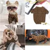 Cão vestuário qualidade pet casaco designer roupas bonito cachorrinho suéteres carta luxo cães roupas animais de estimação apperal suéter quente para grande ou dhlti