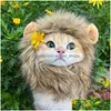 Kedi kostümleri kap peruk aksesuarları köpekler şapka aslan kulakları sevimli komik evcil hayvanlar cosplay kostüm parti yele yavru giysiler ile dhdpa delin