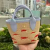 الأكياس النسائية المنسوجة من العشب Mini Longc حقائب المصمم Crossbody Bag