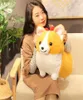 Kawaii Corgi Dog Плюшевые игрушки Симпатичные мультяшные животные Чай Собака Подушка Мягкие куклы для детей Девочки Рождество Valentine039s Подарки L4051020