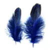 Party Decoration 100st 610cm Pheasant Feather Tails Tail Feathers Fan For Craft Sying Apparel Wedding Home Decoration3970342 Drop Dhyz7