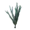 Decorative Flowers Low Maintenance Green Plant Easy Care Eucalyptus 10pcs Natural Leaf Branches For Home Decor Non-withering