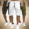 Herenshorts Zomer Cargo Heren 2024 Casual Trunks Fitness Workout Strand Man Ademend Katoen Gym Korte Broek Streep