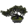 Dekoratif çiçekler yapay bitkiler simüle bonsai masa ağacı sahte gerçekçi mini çim tenceresi model çam