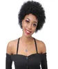 Short Human Hair Wigs Afro Kinky Curly Wig For Women Brazilian Virgin Human Hair Natural Color3040948