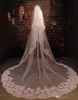 I Stock Bridal Veils Cathedral Length Wedding Veils Främjande med Combs Två lager slöjor Vackra spetsapplikationer Topp Accessorie6470169