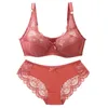 Sexy Lace Plus Size Female Lingerie Transparent Thin Thick BCDE Cup Bra Sets Breathable Women Underwear Panties Briefs 240305