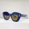 Designer Sunglasses Cat Eye Internet Celebrity INS Same Style Personalized Sunglasses Female LW40127I 5D61