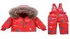 2020 Inverno Bambini Set di abbigliamento per ragazze Caldo piumino d'anatra con cappuccio Cappotti Pantaloni Tuta da neve impermeabile Abbigliamento per bambini7657686