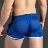 Shorts masculinos homens casual malha sexy respirável boxer cuecas transparentes bugle bolsa calcinha masculino ver através da calça tronco