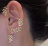 designer earrings for women ear clip fashion luxury ear hoop gold color high quality jewelry9322641