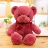 Stuffed UPS Cute Teddy Plush Animais Cuddle Action Figure Colorido Urso Travesseiro Pano Boneca Pequeno Brinquedo Presente de Aniversário para Meninas 240307