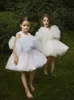 Kinder Spitze Tüll Tutu Kleider Ballkleid Mädchen bunte Gaze ärmelloses Partykleid Kinder Klavier Performance Kostüme Z7014