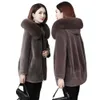 New Sheep Fleece Women's Winter Wear Lamb Hair Haining Pellet Integrated Fox Fur Grass Coat Short 420295