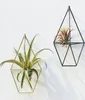 Metall Pastoral Wall Standing Hanging Tillandsia Air Plants Rack Rustic smides Geometric TripoD Air Plant Holder5534446