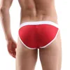 Underpants Men's Sexy Underwear Mesh Breathable Comfort Pants Back Triangle Briefs