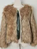 Fur LGRQ 2024 Trendy Elegant Temperament Imitation Fox Hair Short Jacket Women's Winter Fashion Luxury Casual Faux Fur Coat 19F3812