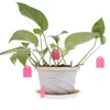 Décorations de jardin 100pcs Pots de fleurs PVC Tags T-Type Plante Suspendue Étiquette Flexible Étanche Creative Outils durables pour la maison