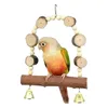 Outros suprimentos de pássaros Balanço Exercício Escalada Playstand Papagaio Mastigando Brinquedos para Conures Cockatiels Budgies Pet Birds Gaiola Acessórios