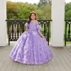 Robes de filles de fleur de boule lilas détachable à manches longues enfants robe de concours en dentelle Appliques princesse enfant en bas âge robe de fête d'anniversaire