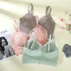 Camisoles & Tanks Sexy Beauty Back Bra Women's Lace Sling Basic Wrapped Chest Fixed Cup Breathable Outer Wear Anti-Exposure Tube Top