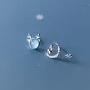 Saplama Küpe Moda Asimetrisi Opal Zirkon Elk Ay Piercing Kadınlar İçin Düğün Noel Takı Pentientes EH465