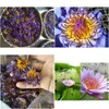 Decorative Flowers & Wreaths Blue Lotus Dried Whole Flower Nymphaea Caerea 210317 Drop Delivery Home Garden Festive Party Supplies Dhwx9