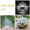 VASES DESK Ecological Bowl Aquarium Tank Multi Function Betta Desktop Goldfish for Office