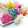 100pcs Natural Dry Flowers Brazilian Small Star Daisy Decorative Mini Dried Flower Bouquet for Wedding Floral Arrangements Craft 240223