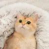 Zima długa pluszowa łóżek dla kota okrągła kota poduszka dla kota dom ciepły kot koszyk sany torba kota gniazdo dla małego psa kota 240226