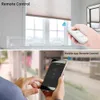 RF 원격 Tuya 스마트 라이프 앱 타이머 홈 Alexa 음성 제어 240228과 WiFi 커튼 롤러 셔터 스위치 모듈