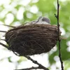 Décorations de jardin nid d'oiseau artificiel, figurines mignonnes faites à la main avec et œufs, artisanat de bricolage, décoration d'arbre pour cour