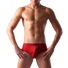 Sous-vêtements Feitong Sous-vêtements pour hommes Slips Couleur unie 95% coton Confortable Hommes Cueca Masculina