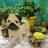 Jardim vaso de flores cão forma plantador shiba inu mastiff cain terrier havanese vaso potes diy pvc flor plantadores jardim decoração para casa 240304