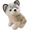 جملة من Plushies Simulation Husky محشوة Little Ha Doll Fashion Dog Gift Huggy Wuggy Custom Plush Animals Toy for Child 240307