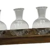 Vases en verre Terrarium planteur hydroponique plante pot de fleur avec support en bois 3 pièces pot pour cuisine salle de bain jardin