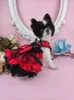 Dog Apparel Handmade Clothes Pet Supplies Unique Design Princess Dress Classic Black Red Satin Dot Grenadine Shine Gem Accessories Party