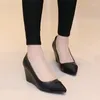 Chaussures habillées Nice Femmes Automne Femmes Noir Wedge Pompes Pointu Pente Unique Confortable Talons Occasionnels 38 39 40