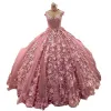 Abiti Quinceanera rosa Abito da ballo Collo alto Maniche ad aletta Illusione Applicazioni di pizzo Fiori floreali 3D Dolce 16 Vestido De 15 Anos Quinceanera