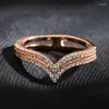 Cluster Ringe Luxus Dazzing Rose Gold Farbe Ring Zweireihig Micro-wachs Inlay Natürliche Zirkon Hohl Für Frauen Hochzeit Party schmuck Geschenke
